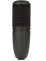 AKG Perception P120 Cardioid Condenser Studio Microphone