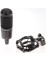 Audio-Technica AT2050 Multi-Pattern Large Diaphragm Condenser Microphone  