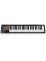 ICON iKeyboard 5X 49 Semi Weighted Keys Keyboard