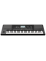 Korg PA-300 Professional Arranger ( With Indian , Persian Styles )