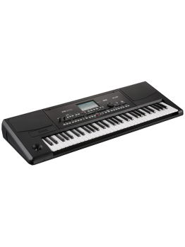 Korg PA-300 Professional Arranger ( With Indian , Persian Styles )